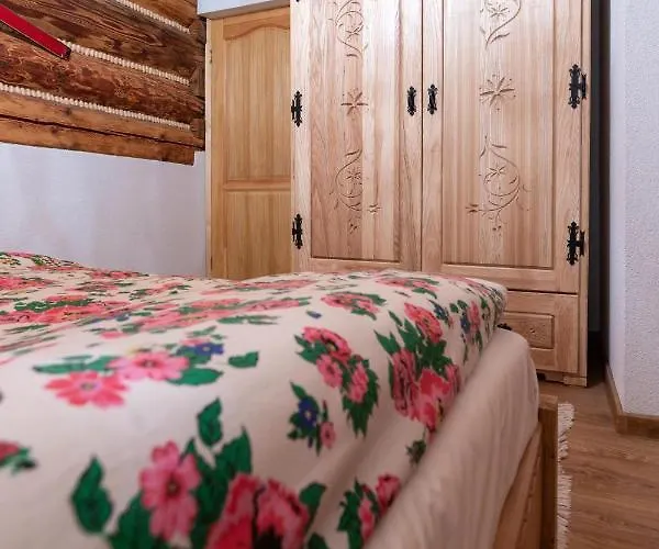 Litwor Daire Bukowina Tatrzańska