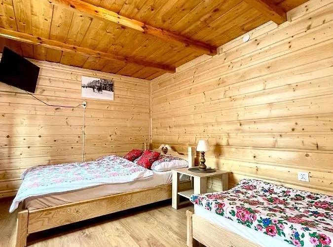 Litwor Daire Bukowina Tatrzańska